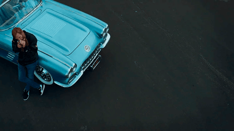 Nightmares Bicycle – Terry