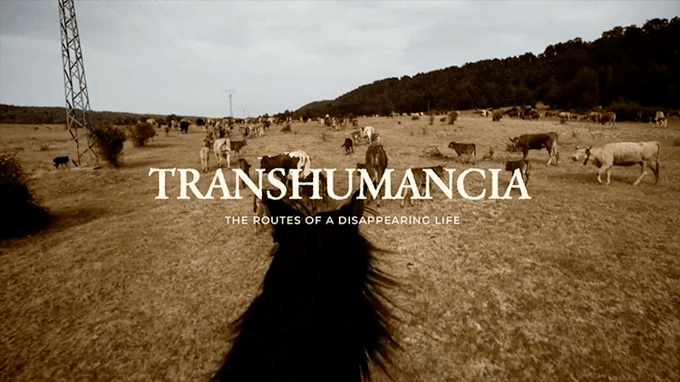 Transhumance – Routes of a disappearing life